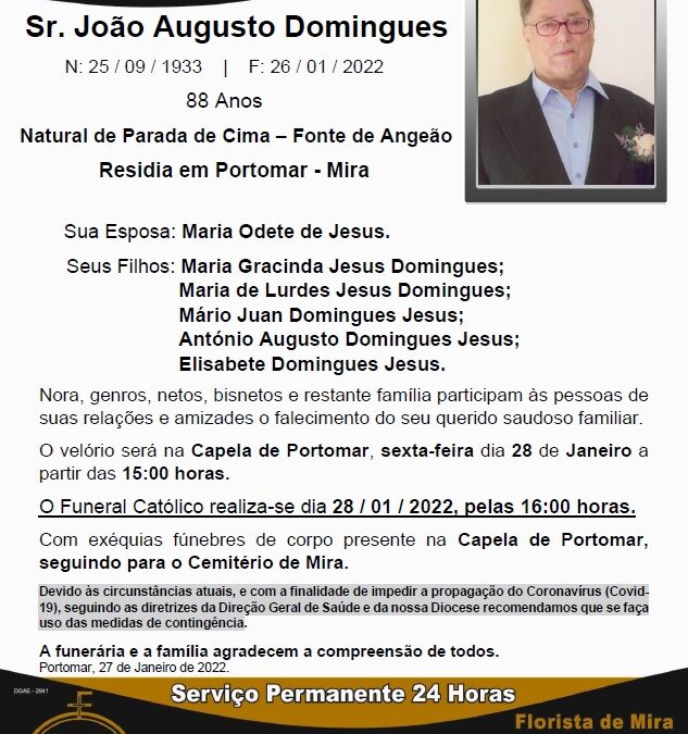 Sr. João Augusto Domingues