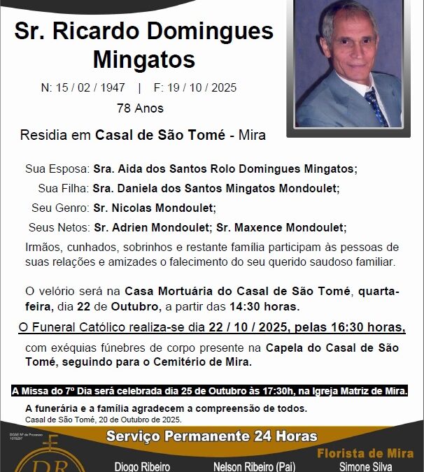Sr. Ricardo Domingues Mingatos