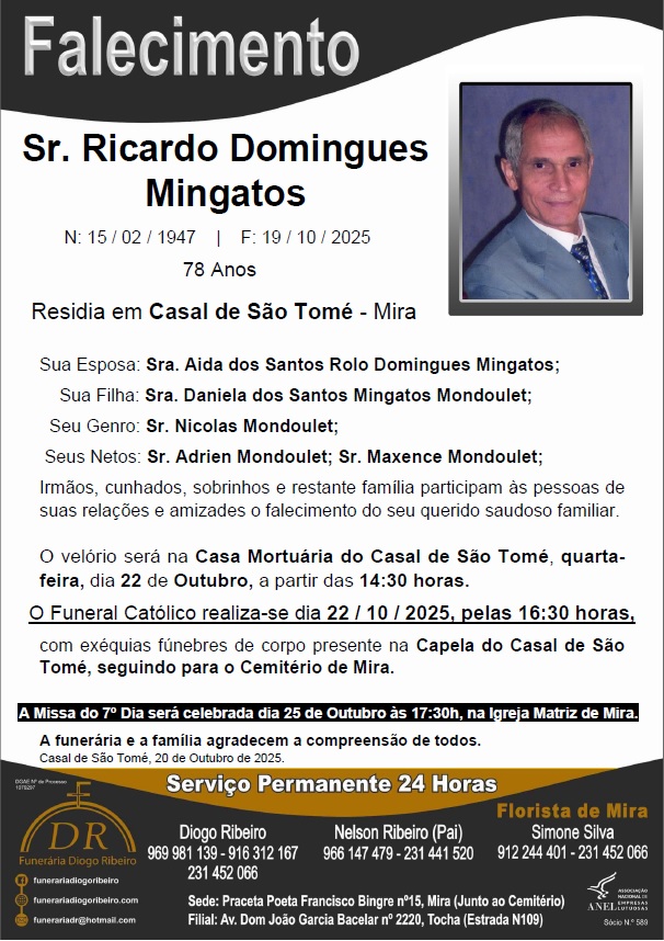 Sr. Ricardo Domingues Mingatos